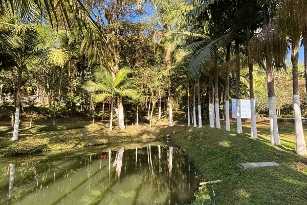 Unidade 1 3